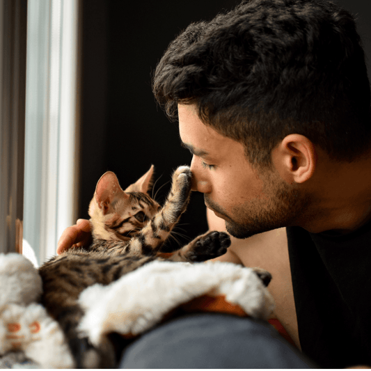 The Importance of Regular Grooming - La Belle Paw