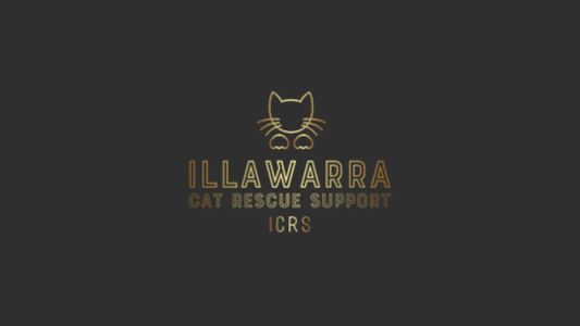 Supporting Local Cat Rescue Associations: Why It Matters - La Belle Paw