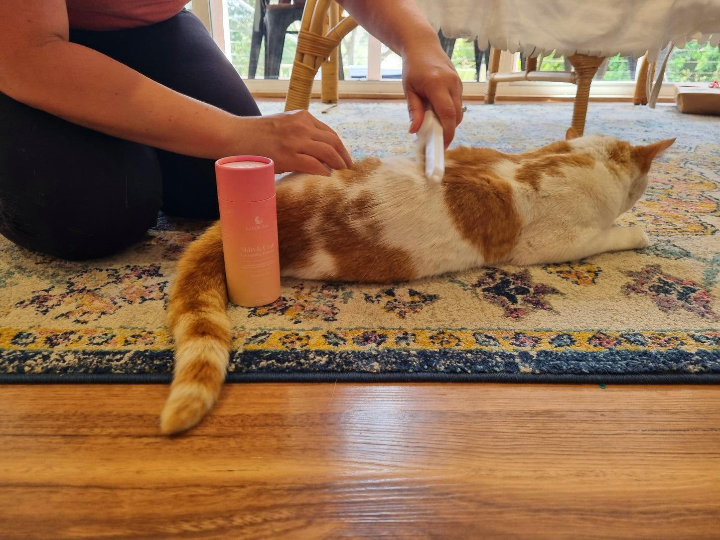 Skin & Coat Cat Care Bundle