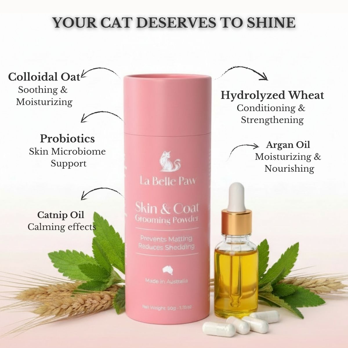 Skin & Coat Grooming Powder